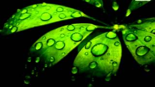 Sesli Quran-El-Enkebut Suresiazerbaycan Ve Ereb Dilinde 29