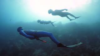 Freediving in Moalboal with Guillaume Nery