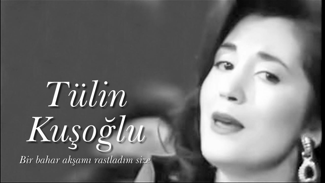 Tülin Kuşoğlu ~ Bir bahar akşamı rastladım size