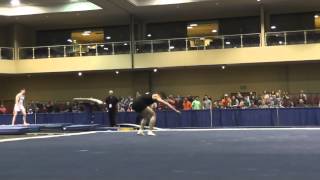 Chris Brooks – Floor – 2015 Winter Cup Prelims