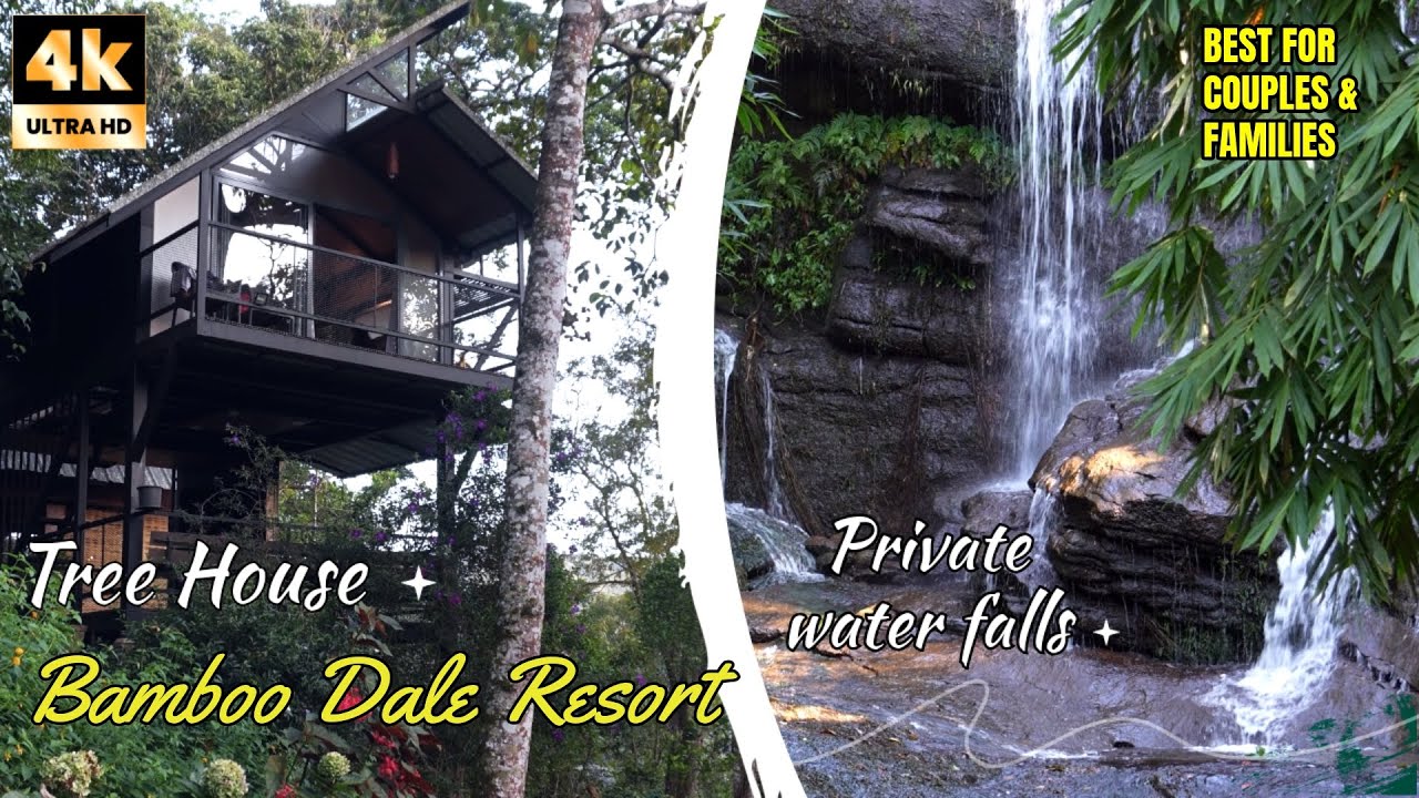 Best Budget Tree House Resort in Munnar | Bamboo Dale Resort | 4K UHD | Family | Couples | Vlog #01