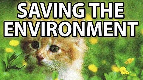 Cat Poop Can Save The Environment!