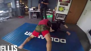 Brendan Schaub vs. Jason Ellis - BJJ Challenge Net Worth