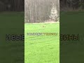 Древняя китайская методика для похудения!