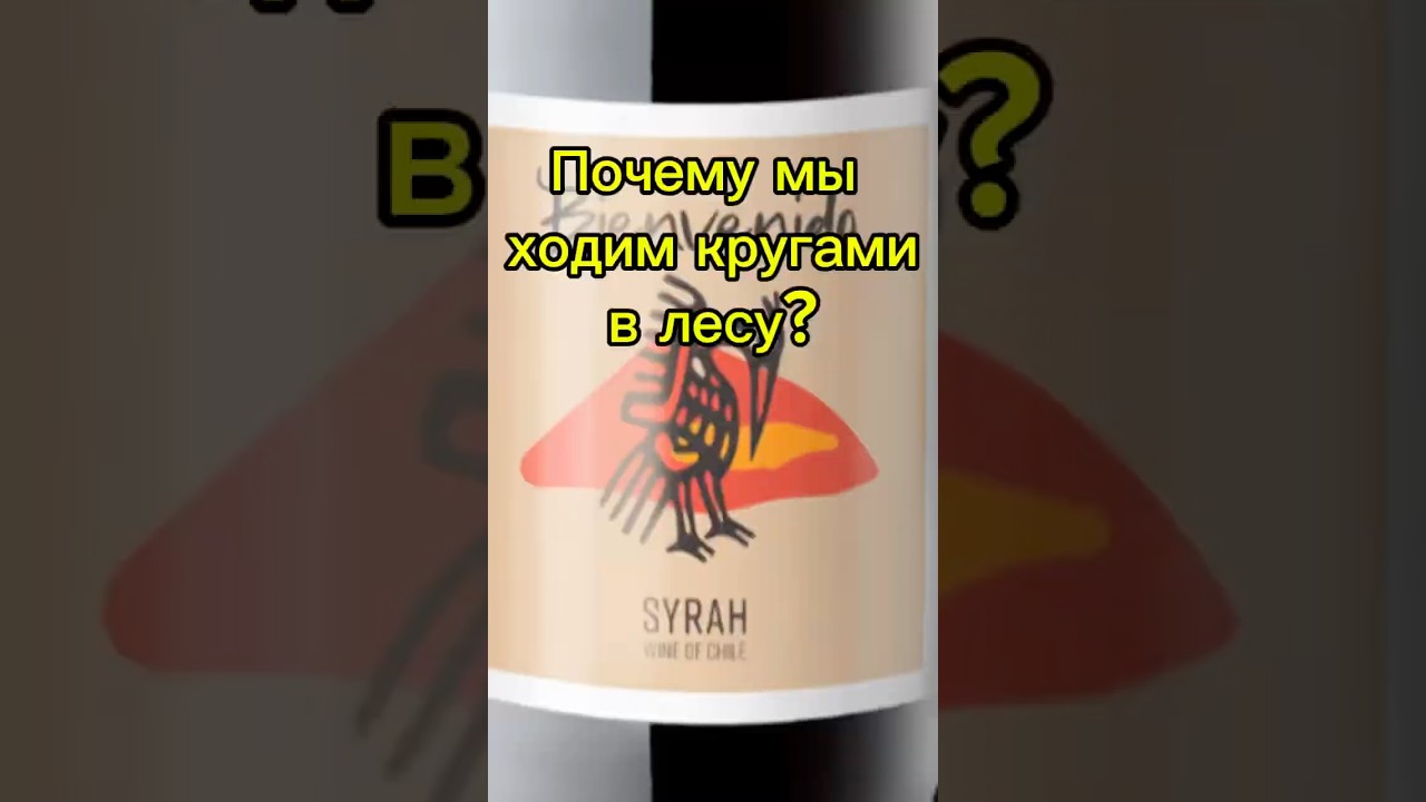 Сира - Иди сюда - 101 фото
