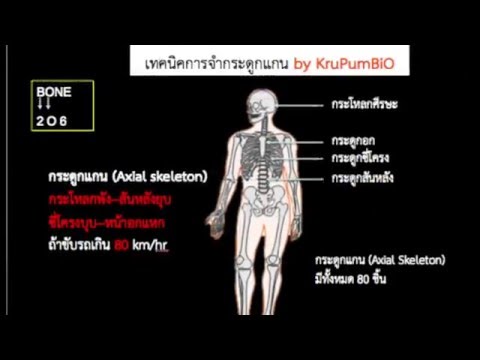 BioWoW 2 นาที จำได้ทันทีระบบโครงกระดูกและข้อต่อ (สอนหรือแร็พไม่แน่ใจ)