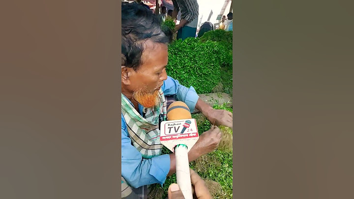৪০ টাকা কেজি ধনিয়ার পাতা