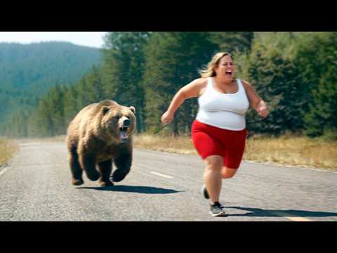 Terrifying Animal Encounters Caught On Camera !