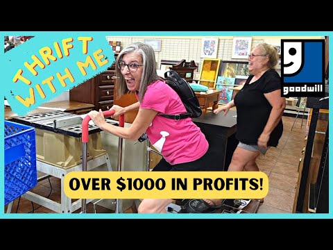 Over $1000 of Profit on This Goodwill Thrifting Trip - Thrift With Me - The Niche Lady