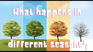 What happens in different seasons?