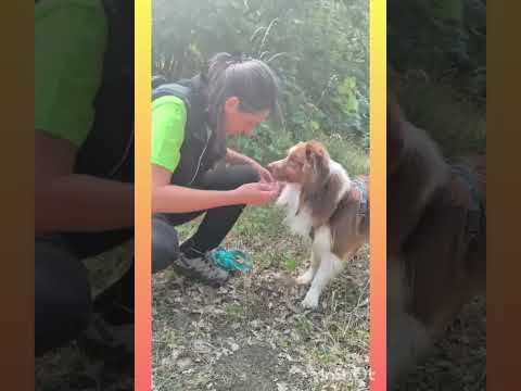 Video Una giornata in Tartufaia Maini @Barbara.Soprani