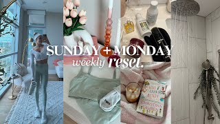 Sunday + Monday VLOG: weekly reset, shower & haircare routine, new running sneakers! by Lauren Snyder 25,394 views 2 months ago 19 minutes