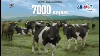 Național 4 - Publicitate 20 Noiembrie 2016