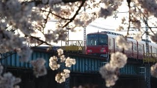 [走行シーン] 名鉄 桜咲く岡崎公園前&乙川橋梁 2019年Version (警笛&MH付き)