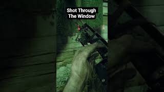 Shot Through the Window