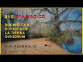 8hs magical spa   dormez avec les sons de la terre  ovnidrum  frquence arcturienne