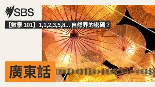 【數學 101】1,1,2,3,5,8... 自然界的密碼? | SBS Cantonese - SBS廣東話節目