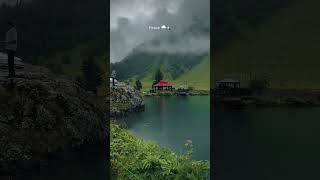 Network 0% Sakoon 100% | #naturesurprise #naturetranquility #calmingscenery