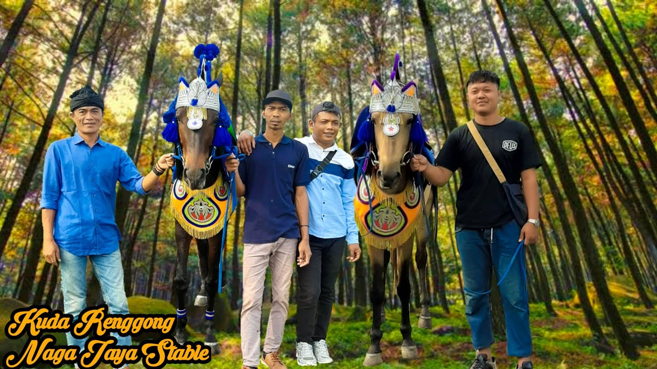 Kuda Renggong Naga Jaya Stable