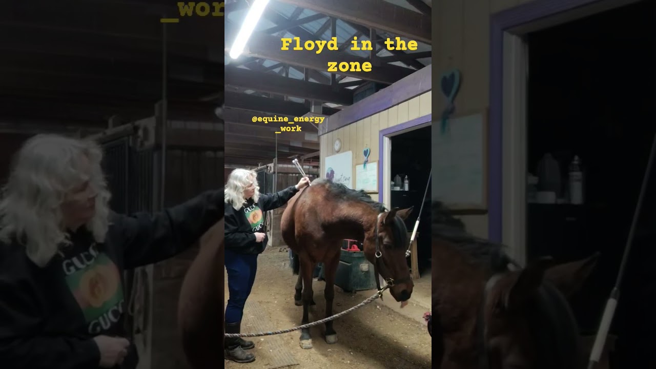 A good release, tuning fork therapy. 