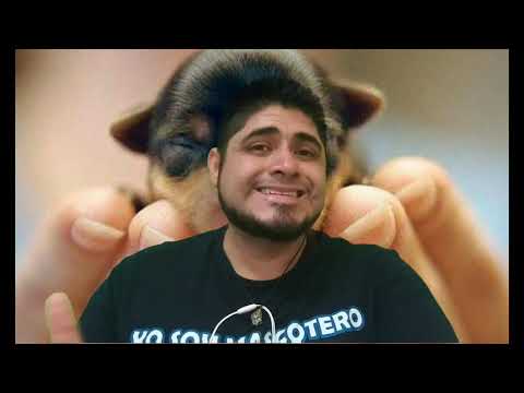 GEISHA slot machine | 20 Free Spins | 艺妓老虎机