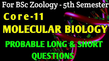 WAARSCHIJNLIJKE LANGE EN KORTE VRAGEN|| ZOÖLOGIE hons.-5e SEMESTER|| CORE-11: MOLECULAIRE BIOLOGI...
