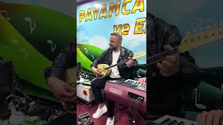 Payamcali Gilfan Yanbaglama