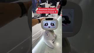 Emotional Support Robot From France