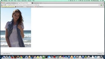 Wordrpress   Simple Lightbox Effect   Easy   Fast   Beginner   Pop Up Image