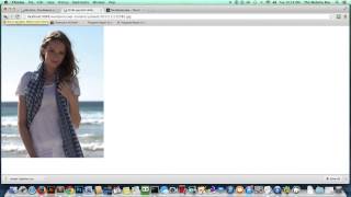 Celebrity Wordrpress   Simple Lightbox Effect   Easy   Fast   Beginner   Pop Up Image Wealth