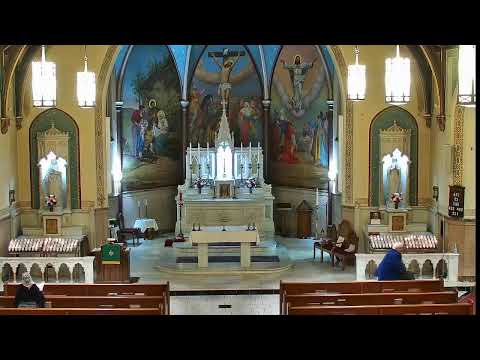 Holy Angels Catholic Church Live Stream