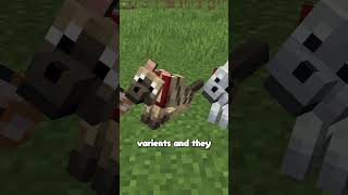 MINECRAFT ADDED NEW WOLVES!! #shorts