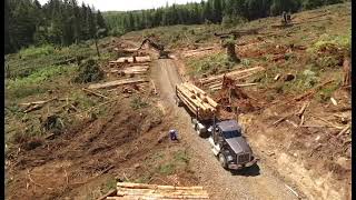 Hampton Lumber - Forest to Mill