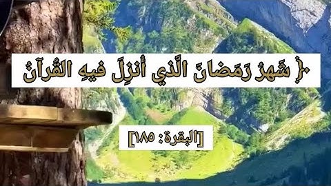 تلاوة جميلة/ من / سورة البقرة / شَهرُ رَمَضانَ الَّذي أُنزِلَ فيهِ القُرآنُ هُدًى لِلنّاسِ