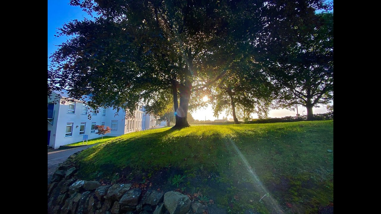 Kingsley School Bideford Introduction to the Sixth Form YouTube