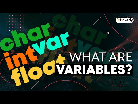 What Are Variables