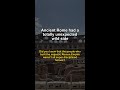 Ancient Rome had a totally unexpected wild side | ancient civilizations #Shorts