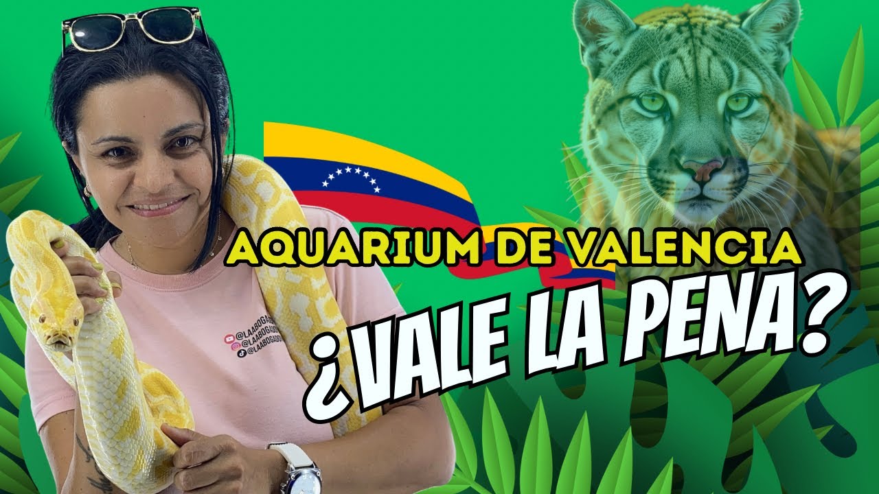 AQUARIUM DE VALENCIA. ¿VALE LA PENA PAGAR POR ESTO?