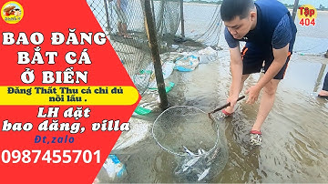 Bao đăng bắt cá ở Vũng Tàu - đăng thất thu cá chỉ đủ 1 nồi Lẩu  #404