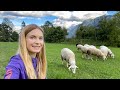 Becoming a mountain girl🐑