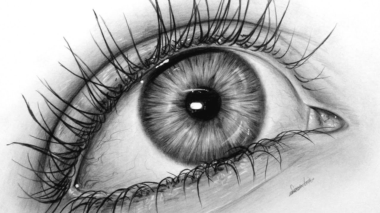 Simple Eye Drawing Sketch for Adult