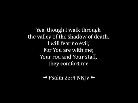 I Will Fear No Evil For You Are With Me Psalm 23 4 DNRZ1101005A