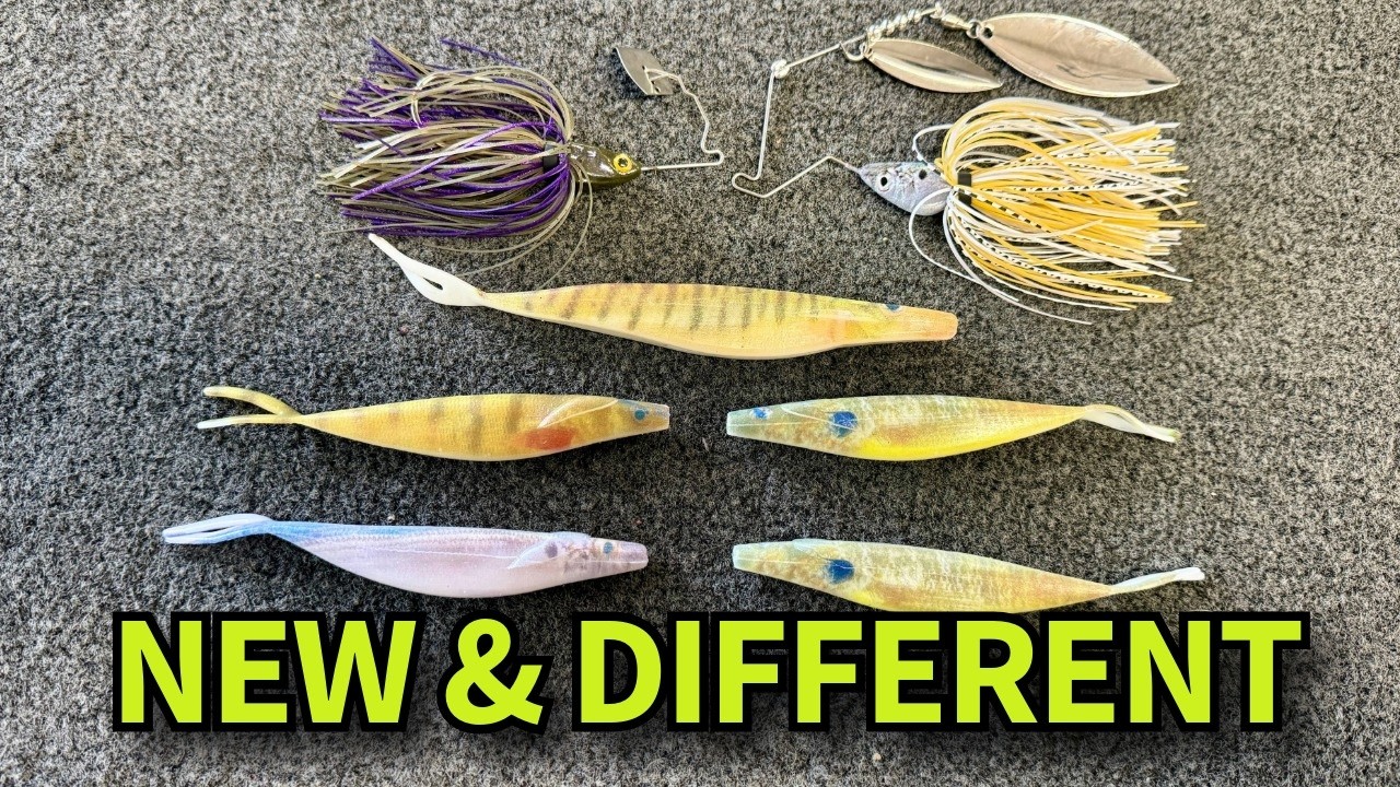 A Small Bait Company Doing Things Differently