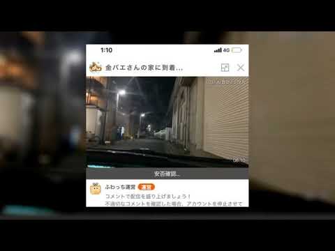 【音信不通】ぱるぱる!!金バエの近況について考察する9月28日