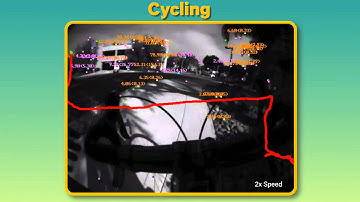 Monocular Visual-Inertial Odometry