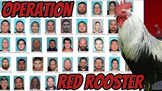 OPERATION RED ROOSTER ..SHUTS MERCED COUNTY NORTHERNERS DOWN ..GB ARRESTED TODAY #trending #norte