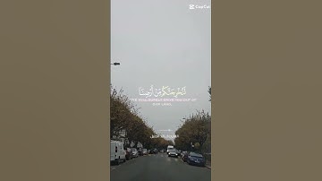 تلاوة عطرة للشيخ خالد الجليل ماتيسر من سورة إبراهيم