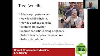 NY ReLeaf 2021: Tree Stewardship in Greater Buffalo through Creative Partnerships