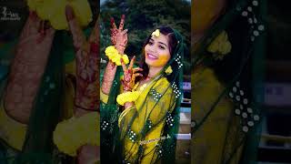 Dilmatdenamerisautanko