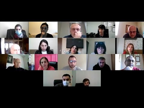 საზოგადოებრივი მაუწყებლის სამეურვეო საბჭოს სხდომა - პირველი თებერვალი, 2021